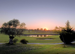赫雷斯雪利高尔夫球场（Sherry Golf de Jerez）