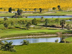 赫雷斯雪利高尔夫球场（Sherry Golf de Jerez）