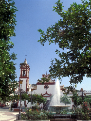 普拉多德尔雷（Prado del Rey）