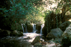 贝纳马欧马（Benamahoma）-Majaceite河