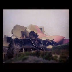 InstagramϷׯͼƬ