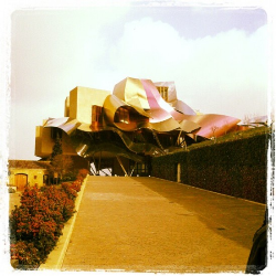 InstagramϷׯͼƬ