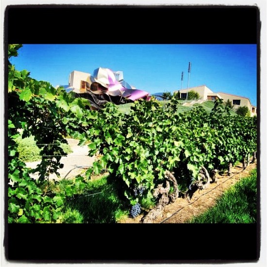 InstagramϷׯͼƬ
