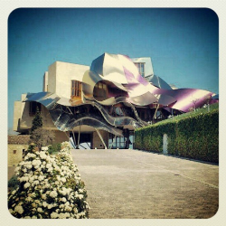 InstagramϷׯͼƬ