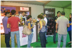 2012VinifestƽڣǸû