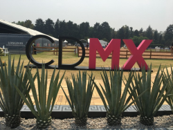 īٻھLGCT Mexico