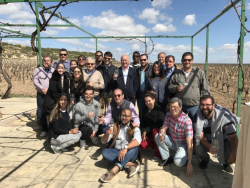 2017ׯ