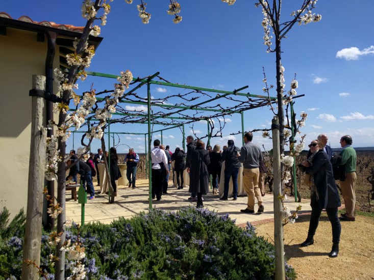 2017ׯ