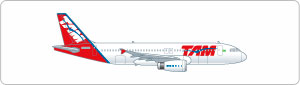 տA320