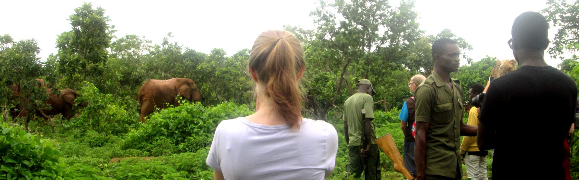 加纳自然动物观光旅行