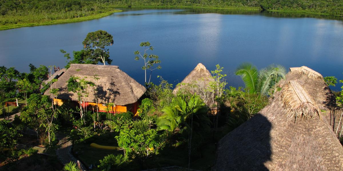Ecuador Amazon Napo Wildlife Center Lagoon
