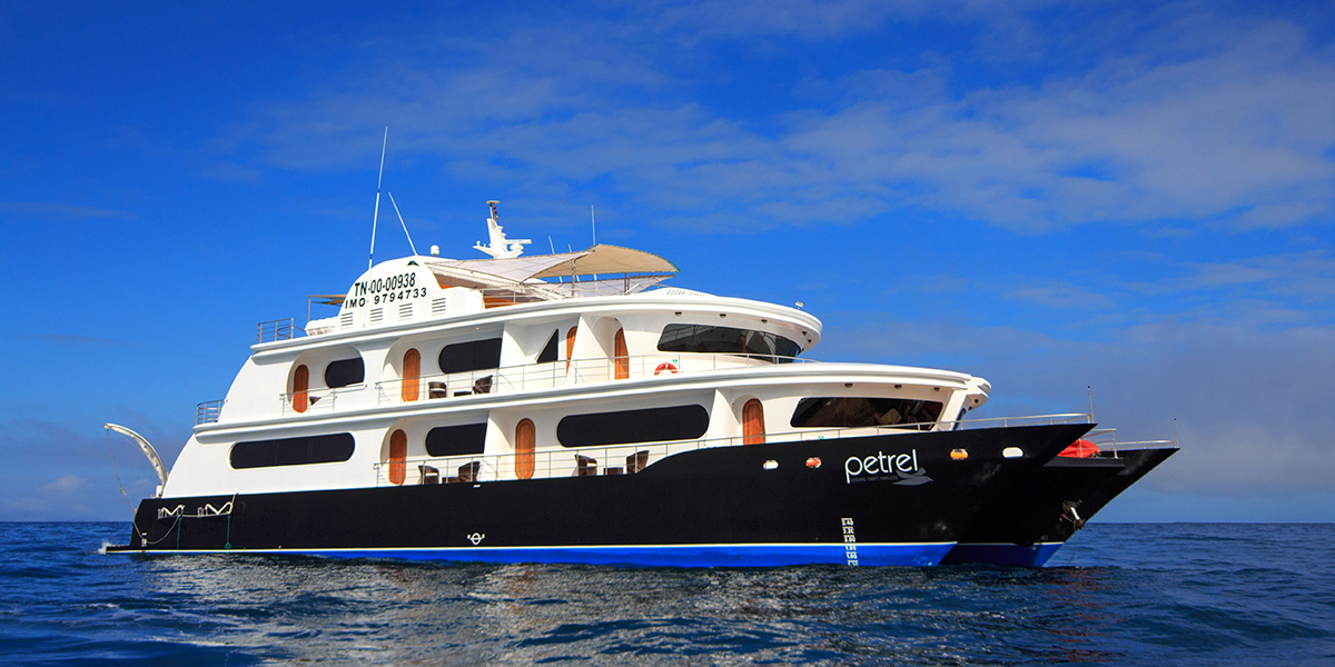 Ecuador - Galapagos Luxury Cruises - Petrel