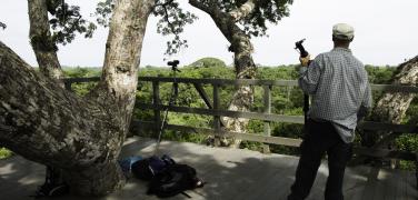 Ecuador Amazon Napo Wildlife Center lookout tower