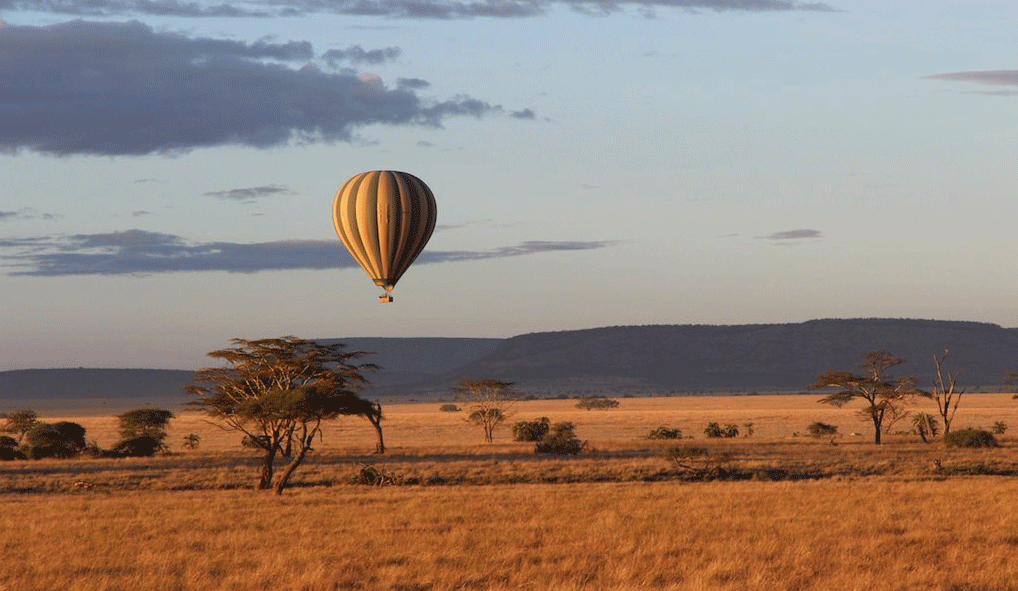 坦桑尼亚热气球游猎之旅
