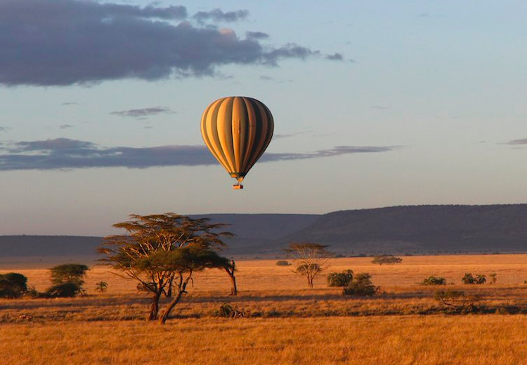 坦桑尼亚热气球空中游猎