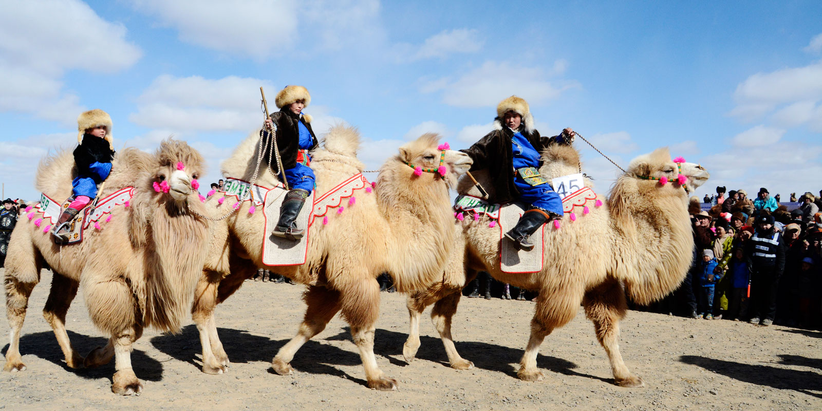 蒙古旅游节日庆典游玩指南