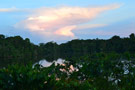 La Selva Amazon Lodge - Ecuador