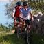 Dalmatia: Zadar - bicycle path of Starigrad