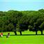 Istria: Golf
