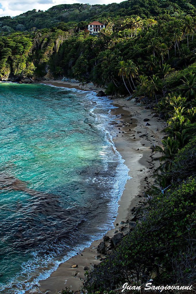 布莱顿海滩