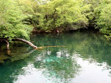 土著眼生态公园（Parque Ecológico Ojos Indígenas）