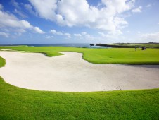 蓬塔埃斯帕达高尔夫球场（Punta Espada Golf Course）