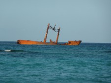 东部海滨潜水