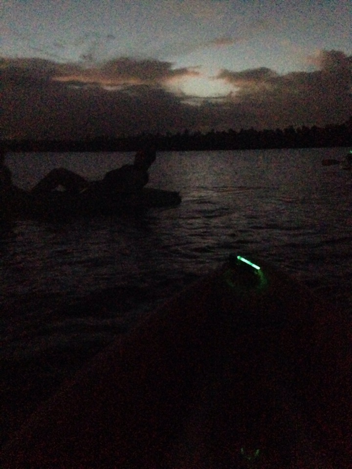 夜幕划船出游