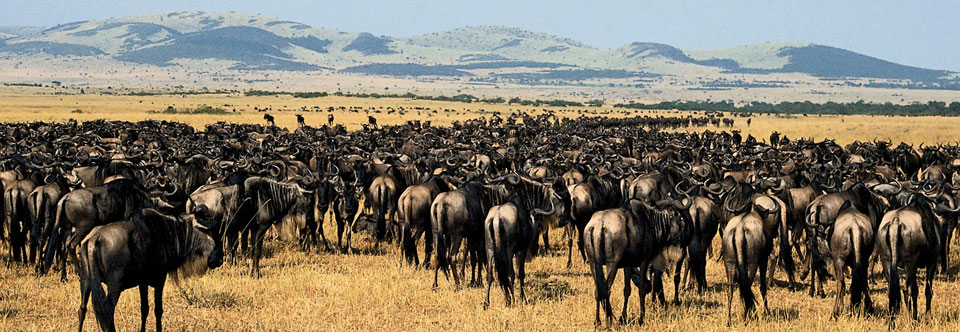 坦桑尼亚三个参评景区皆入选非洲七大自然奇观