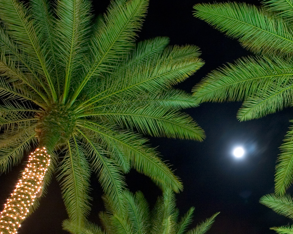 background-image