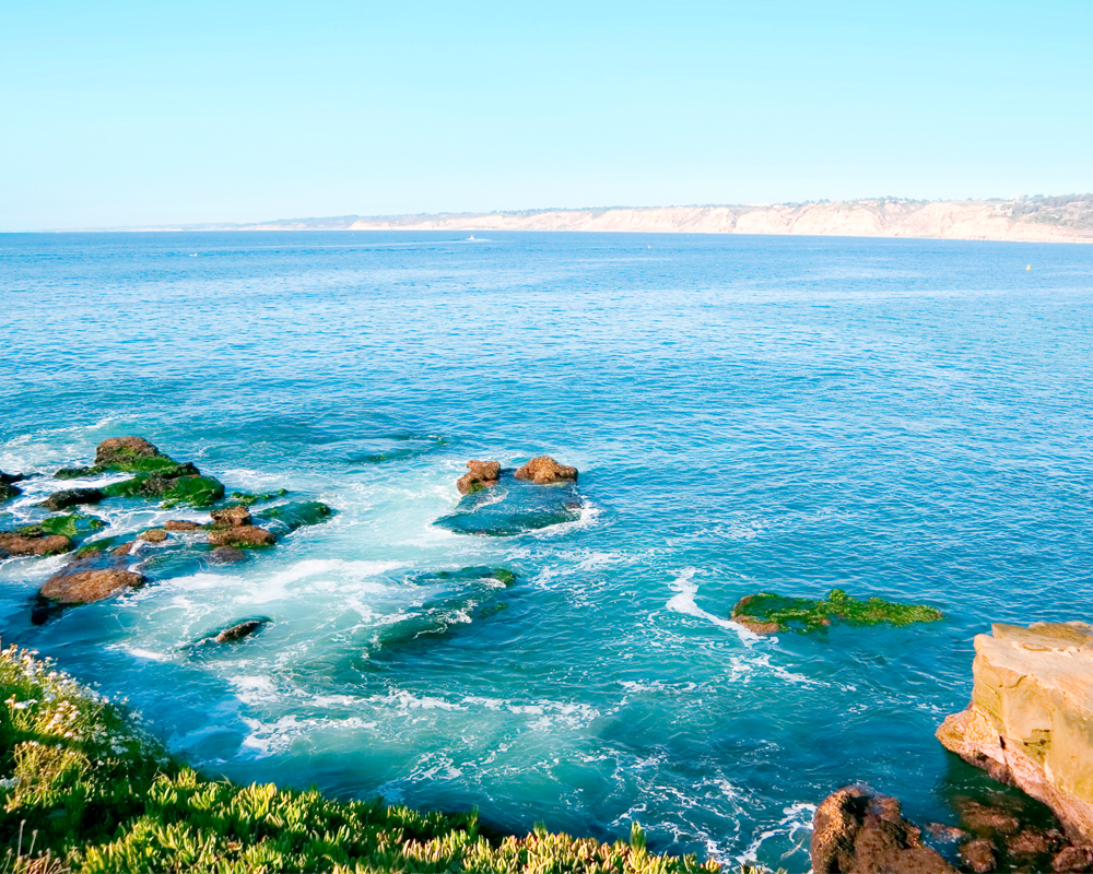 background-image