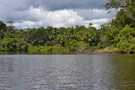 La Selva Amazon Lodge - Ecuador