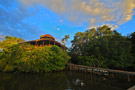 Ecuador Amazon Lodge - La Selva