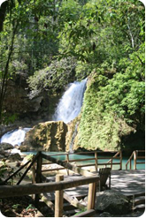 新疆美景