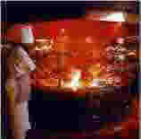Carnivore Roasting