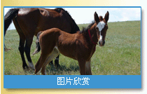 点击欣赏美图