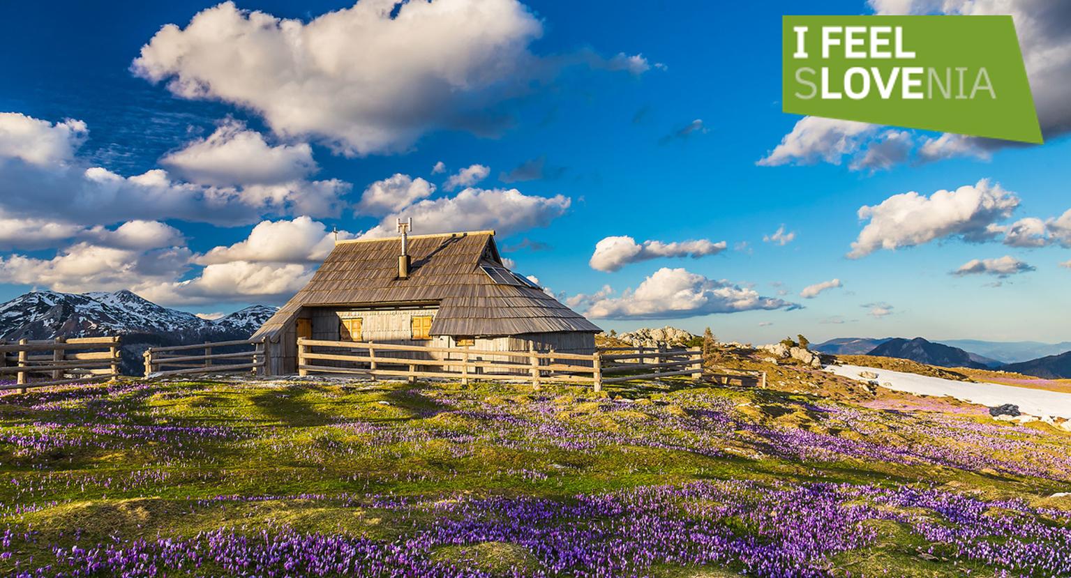 ˹�������Ǵ����ؾ����ڻ���ɽ�Ӽ䣬��������������