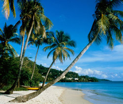 购买奢华5星沙滩别墅，获多米尼加护照