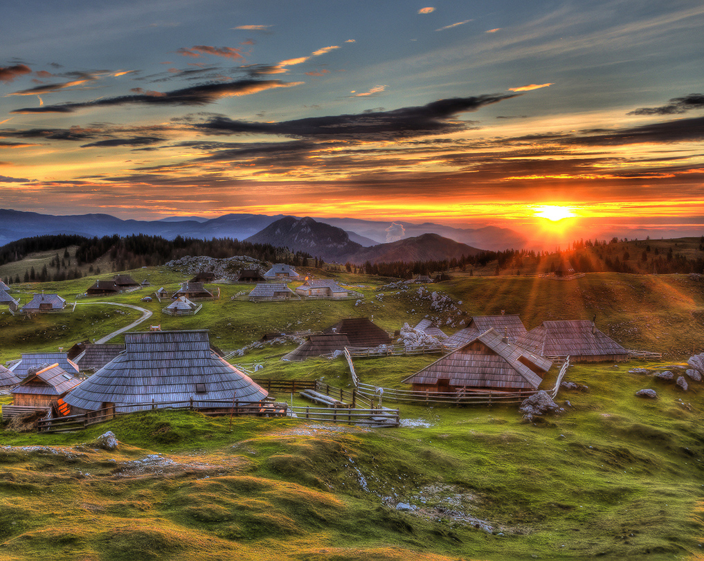 ˹�����������ξ�