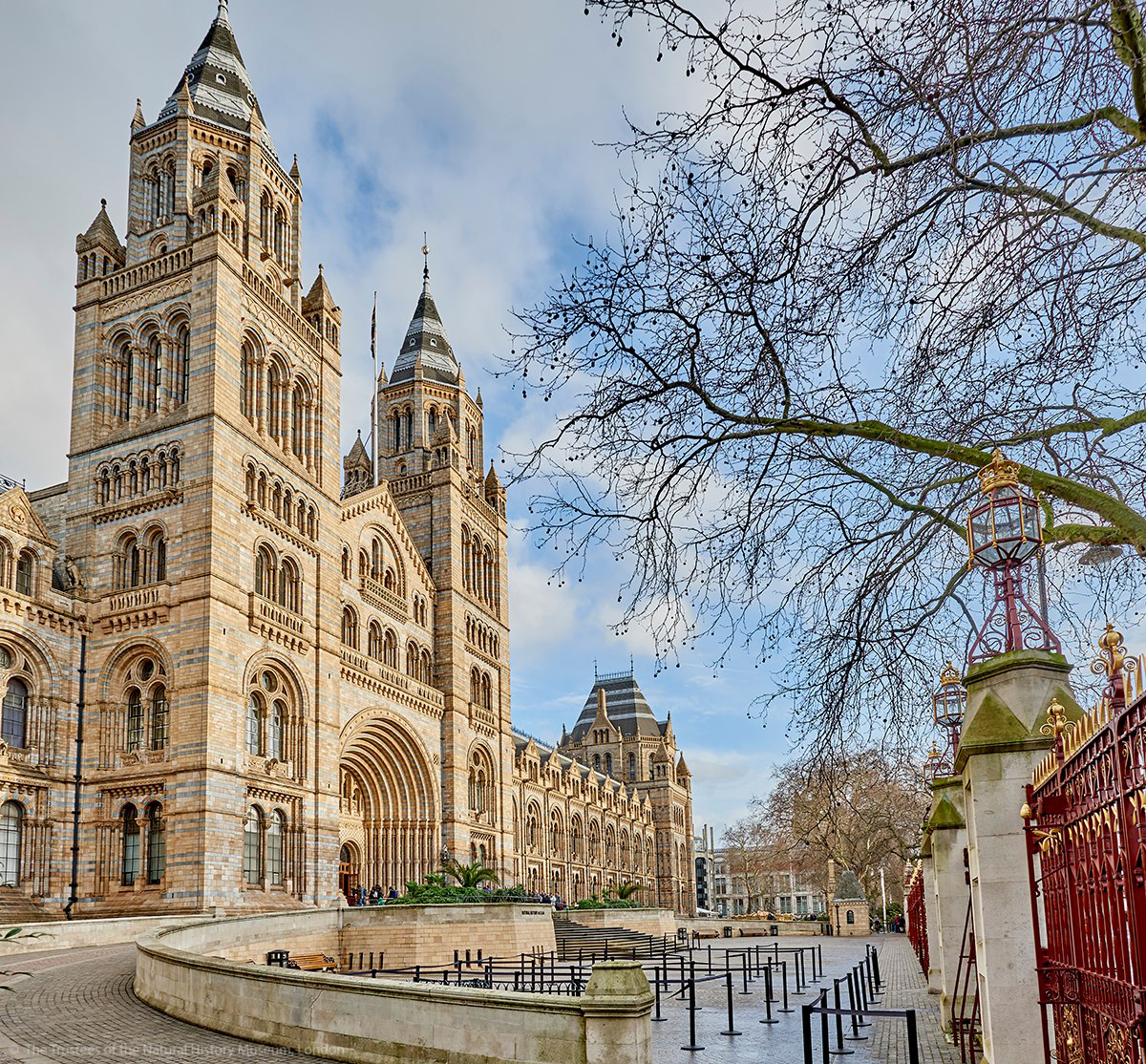 伦敦旅游必去博物馆之：自然历史博物馆