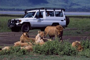 坦桑尼亚恩戈罗恩戈罗自然保护区