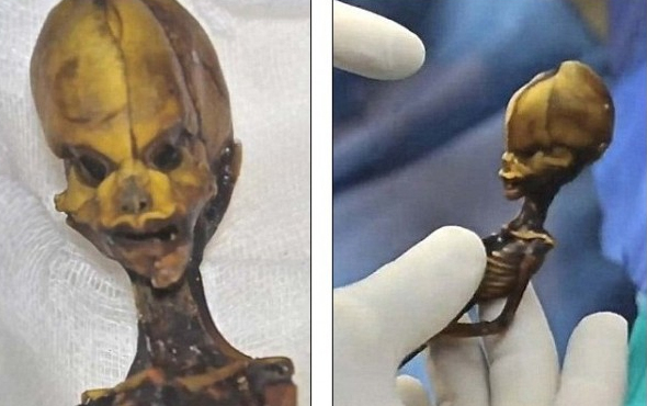 10年前智利发现的"外星人"骸骨实为突变人类