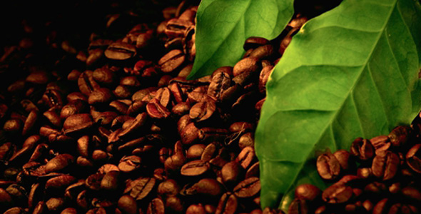 咖啡发源地——埃塞俄比亚