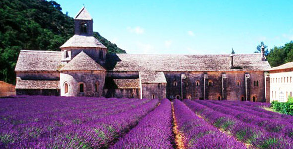 紫色法国蜜月旅行 浪漫的大河之旅