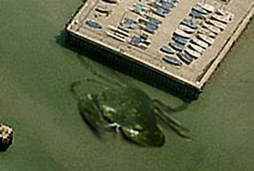 英港口现“15米巨型螃蟹” 照片网上疯传