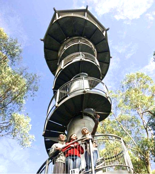 机不可失：新西兰旅游项目——树顶步道项目开发招募买家　