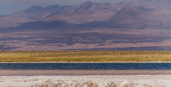 智利盐湖 体验在沙漠中游泳