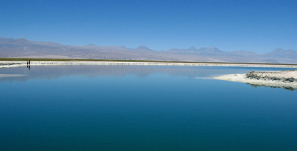 智利盐湖 体验在沙漠中游泳