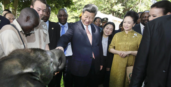 习近平考察津巴布韦野生动物救助基地