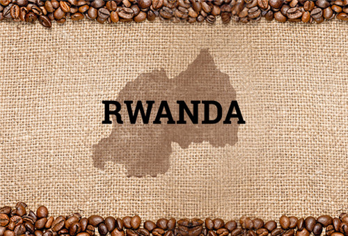 新闻 卢旺达的"饮品"之旅·咖啡篇     茶也许是卢旺达(rwanda)出口量